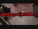 白塗りpepperくんがオムツ履いてた