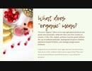Everything You Need to Know About Organic Foods - Joy of Organics