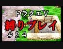【アルカリ性】新しい縛りを公開！26周目の縛りプレイ！【ドラクエ5シーズン1 Part24】