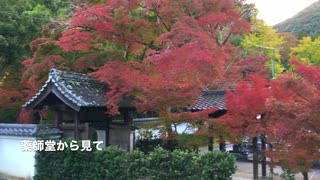 岩国城下　庭園風な紅葉谷公園の紅葉のひとコマ（夕方の景）