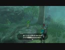 【実況】だらだら喋りながらやるゼルダの伝説 BREATH OF THE WILD Part.028【初見】