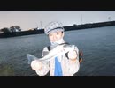 【釣り・VLOG】埼玉、荒川温泉・温排水でシーバスを釣る！＠フッコとタイリクスズキのセイゴ【P30 Pro】