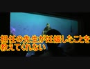 担任の先生が妊娠したことを教えてくれない【タートルトーク】東京ディズニーシー