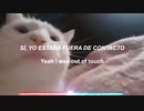 Gato en su mundo♻️♥️♻️♥️♻️