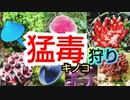 【キモ過ぎ注意】秋の～猛毒キノコ狩り～対決！！【ヤバイ毒キノコ見付けた方の勝ち】