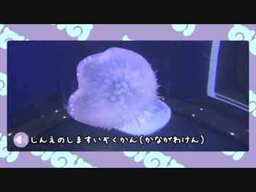 【剣盾】水族館パでワイワイバトル：21【グローバルチャレンジ上】