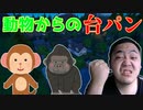 「FORTNITE破損」猿からゴリラとなり連続台パンをするキチガイ！「顔出し実況」