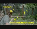 The Last of Us PartⅡ　実況初見プレイpart10