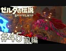 【ゼルダの伝説ブレスオブザワイルド＃45】お詫びと炎のカースガノン戦　前編【はるの積みゲー崩し】