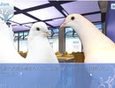 【ゲーム実況】はーとふる彼氏【#2】