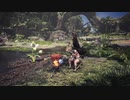 【MHW:IB】✖✖VS肉焼きセット