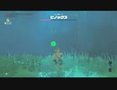 ゼルダの伝説ブレスオブザワイルドマスターモードを実況プレイ(2020年8月29日放送)5／6