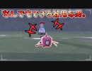 【ポケモン剣盾】全知全能万能ポケモン"ウォッシュロトム"