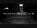 【衝撃映像】FILE-010 灯台に現れた白くて長い物
