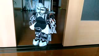 ハイヒールなロッボットの歩行動画