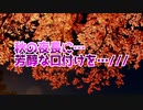 秋の夜長に…芳醇な口付けを…///