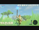 【実況】聖火ランナーリンク【ゼルダの伝説BotW】 #13
