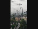 関慎吾さんって