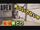 【PS4】IQ200の裏どりで敵パーティーを壊滅させるの気持ち良すぎいいいい【Apex Legends】