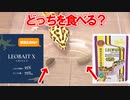 【頂上決戦⁉】レオパの目の前に2種類の人工餌を同時に置いてみてどっちを食べるか検証してみた。