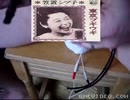 楽しいはんだごて