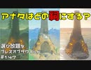 【趣味】拙いですがパンツでマスターになる【ゼルダの伝説ブレスオブザワイルド】pants147