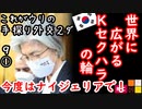 メイドinコリア...　【江戸川 media lab HUB】お笑い･面白い･楽しい･真面目な海外時事知的エンタメ