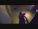 歌ってみた・shiny days