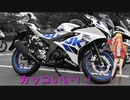ＲＧ２５０Γで行く！ゆうさんＲ１２５納車♪