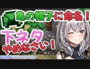 【白銀ノエル】団員さんに下ネタはダメと言いながら自分でぶっ込んでいくノエル団長【ホロライブ切り抜き】