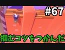 【ゆっくり実況】『シーズン２』Fall guys 風雲た〇し城なバトルロイヤルゲー Part67