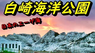 【ハイエースキャンピングカーで行く犬連れ旅】日本のエーゲ海「白崎海洋公園」