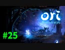 【＃25】Ori and the Will of the Wisps 【じっくりと実況】