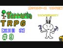 例のマルチーズで遊ぶ　Terraria　TRPG　＃９　[三日目　夜]
