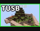 【ゆっくり実況】霊夢はTUSBをなんとか50島クリアするようです＃10【マインクラフト/minecraft/TUSB】