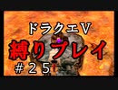 【アルカリ性】ようがんげんじんとのバトル！26周目の縛りプレイ！【ドラクエ5シーズン1 Part25】