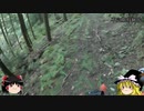 （ゆっくり実況）不定期狩猟部part36.5（番外編）