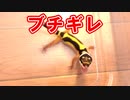 【爆誕‼】産まれてすぐにブチギレするレオパが可愛すぎた！【先輩ベビーも紹介】
