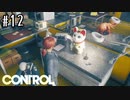 最も要らない謎の小道具シリーズ【CONTROL】#12