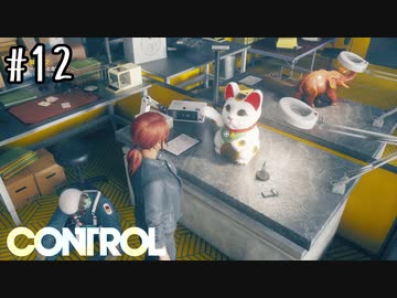 最も要らない謎の小道具シリーズ【CONTROL】#12