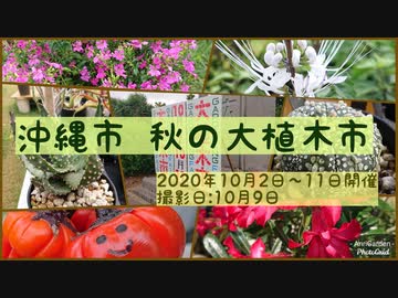 2020年 沖縄市 秋の大植木市