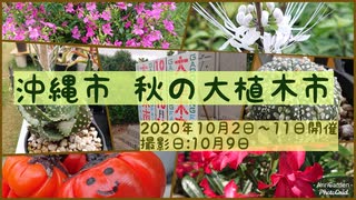 2020年 沖縄市 秋の大植木市