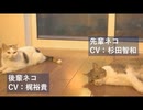 杉田智和＆梶裕貴がネコにアテレコ！パナソニックホームズ「#アテネコ動画」第1弾＆第2弾