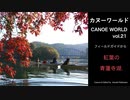 【カヌーワールド】青蓮寺湖の紅葉カヤッキング