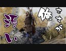 【実況】新約・加速するスカイリムの旅 Page430