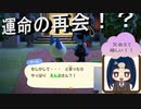 【あつまれ どうぶつの森】　フレンド島来訪幕　マールとの再会、フレンドの島へ初来訪！！2
