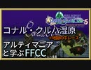 古代セルキーの民が求めた理想郷　コナル・クルハ湿原をじっくりと解説・エリア攻略【解説】FFCCの世界観・ストーリーを解説　＃14