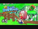 【マリオサンシャイン】周りの敵無視しすぎると背後取られる#5