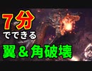 【MHWI】徹甲ライトでミラボレアスの部位破壊周回！破壊後は討伐にチャレンジできる装備と手順を紹介♪【ゆっくり実況】