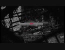 「なぁ、気付いてる？俺と君との差なんて歩み一歩分しかないんだぜ？」　／　初音ミク